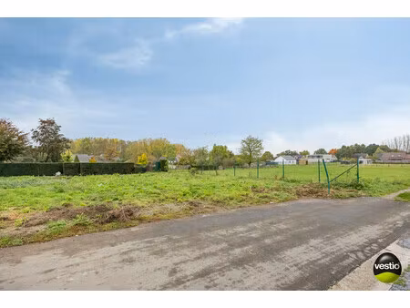 grond te koop in bilzen-hoeselt