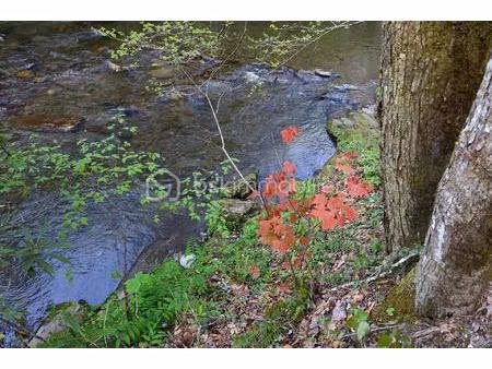 terrain agricole de 53 448 m² à saint-pons-de-thomieres