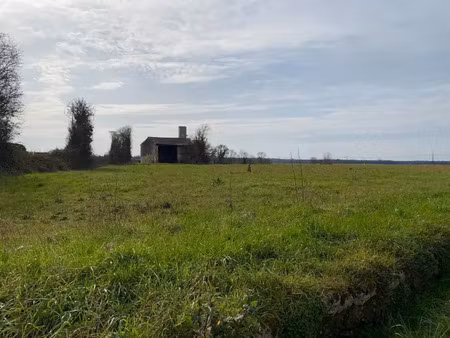 vente terrain 753 m² plassay (17250)