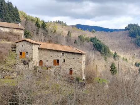 vente maison 6 pièces 200 m² à dornas (07160)  259 000 €