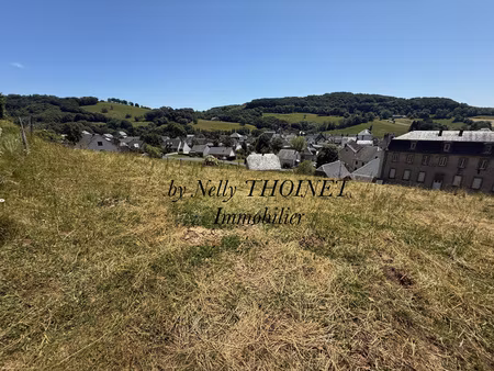 dépt.63  egliseneuve d'entraigues  terrain à bâtir de 2547 m2