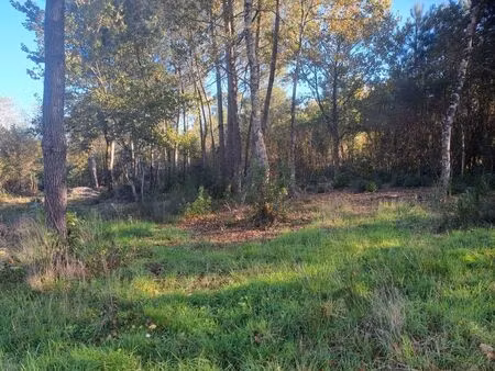 vente terrain saint-sauveur (33250)