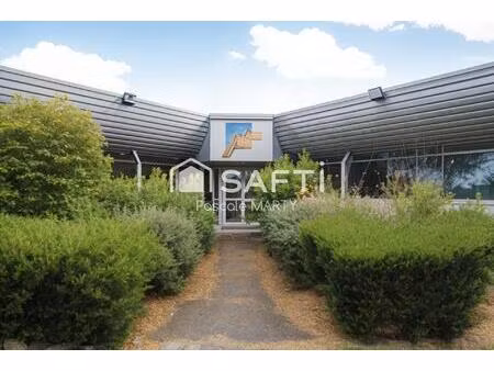 vente commerce 16 pièces 697 m² balma (31130)