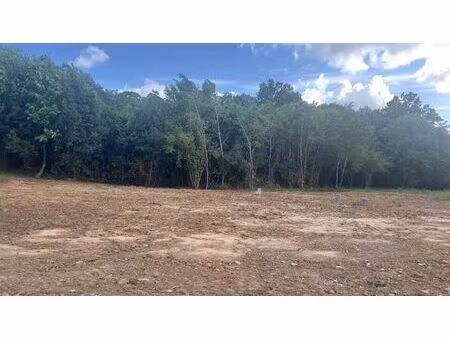 vente terrain 450 m² castres-gironde (33640)