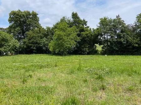 vente terrain 600 m² saint-quentin-de-baron (33750)