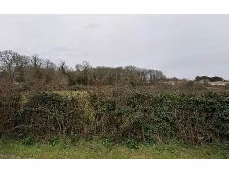 terrain à bâtir à étaules (17750)