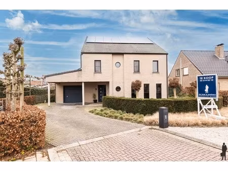 huis te koop in hoogstraten met 5 slaapkamers