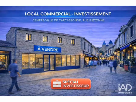 vente bureaux et commerces à carcassonne (11000) : à vendre / 176m² carcassonne