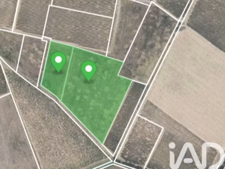 vente terrain à raissac-d'aude (11200) : à vendre / 12411m² raissac-d'aude