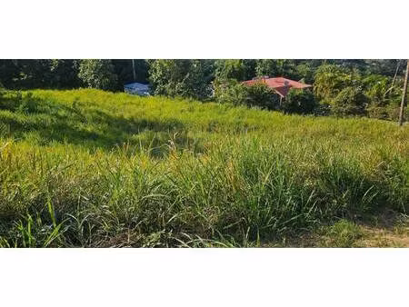 terrain constructible à vendre