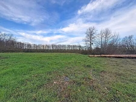 terrain constructible viabilisé à vendre