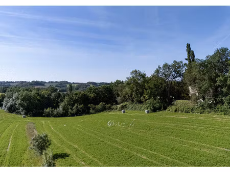 terrain - 1371 m²