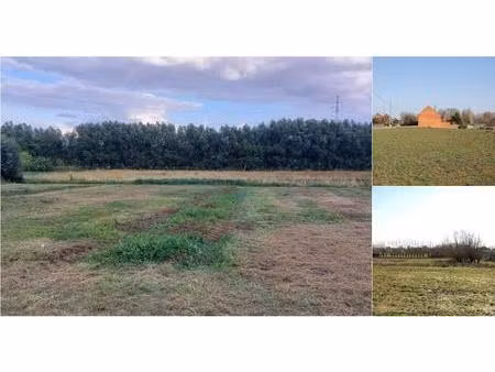 terrain à bâtir à vendre à heierveld 10 asse (rwc41915)