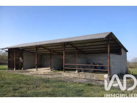 vente maison à essarts-en-bocage (85140) : à vendre / 170m² essarts-en-bocage