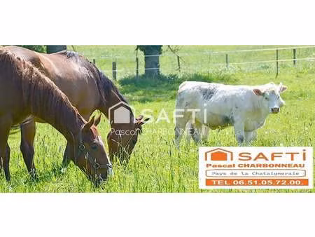 vente maison à pouzauges (85700) : à vendre / 156m² pouzauges