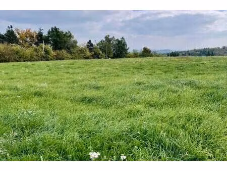 terrain constructible viabilisé à vendre