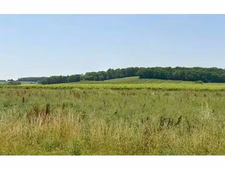 terrain constructible viabilisé à vendre