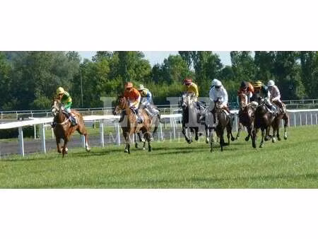 vente bureaux et commerces à château-gontier (53200) : à vendre / 185m² château-gontier