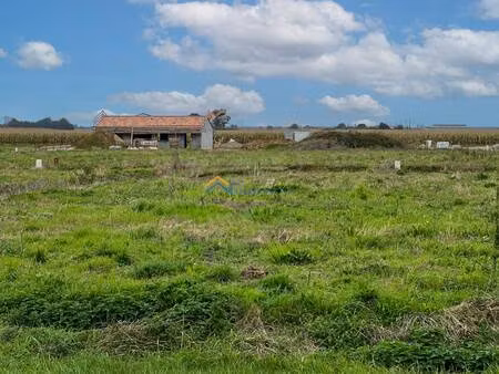 terrain constructible viabilisé à vendre