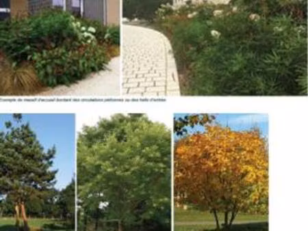 achat : appartement (94320)