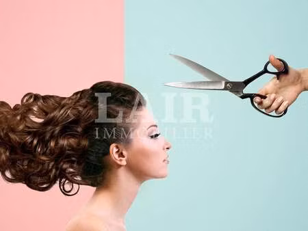 vente bureaux et commerces à mayenne (53100) : à vendre / 40m² mayenne