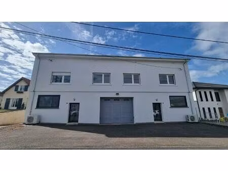 entrepôt avec 2 appartements et un verger à flétrange