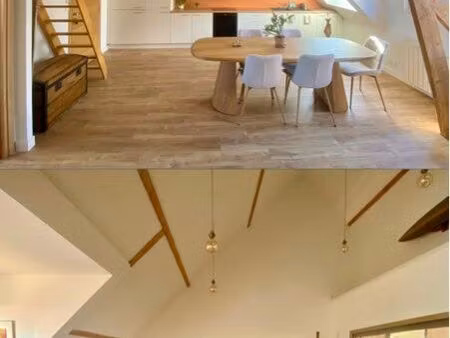 appartement coup de coeur - dernier étage avec mezzanine - rue de la patrie