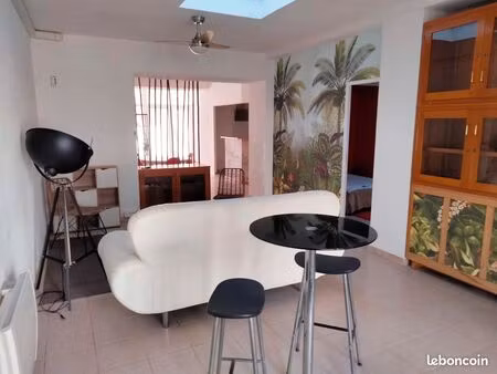 grand appartement rdc type loft