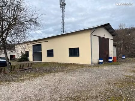 local d’activite avec bureau 220 m² – neyron