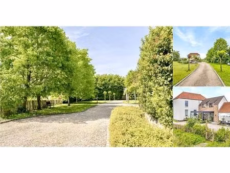 maison à vendre avec terrasse et jardin   audenarde (rbv36554)