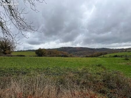 terrain 1 200 m² pampelonne