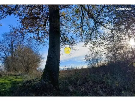 terrain 19 000 m² arpheuilles saint priest