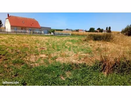 terrain constructible