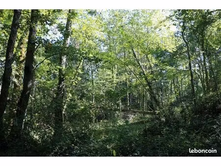 vente terrain boisé