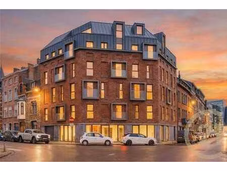 immeuble commercial mixte avec 19 logements