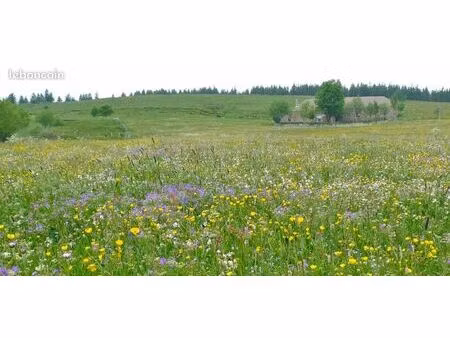 recherche terrain agricole