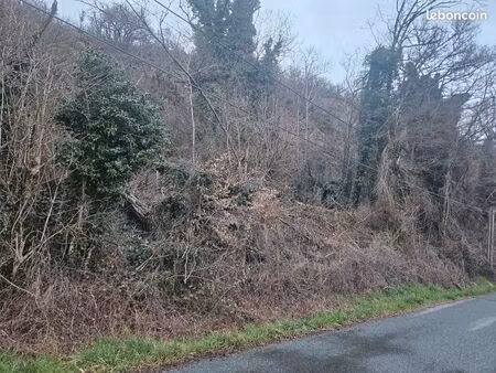 terrain pour animaux