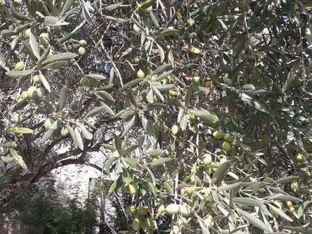 recherche terrain agricole ou autre