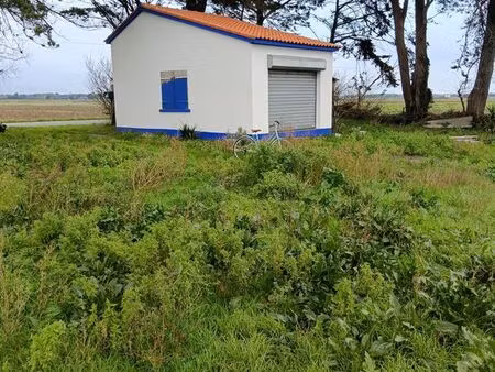 terrain loisirs+petit hangar