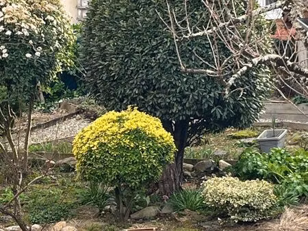 maison atypique proche centre ville