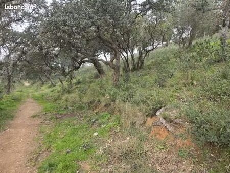 terrain 27425 m² bormes-les-mimosas