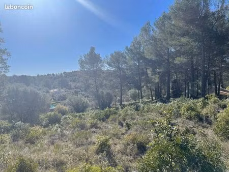 agréable terrain de loisir ensoleillée