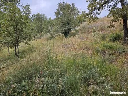 terrain 1 338 m² saint paul en foret