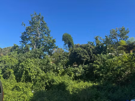 vente terrain 354 m² le tampon (97430)