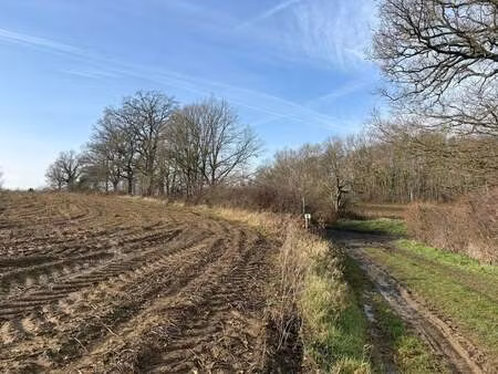 terrain à vendre à sint-pieters-rode € 98.000 (llfyz) - immo surplus | zimmo