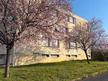 appartement type 2 vierzon sud