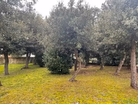 maison individuelle neuve