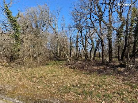 terrain 2 300 m² caylus