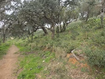 terrain non constructible à bormes-les-mimosas  2.74 ha