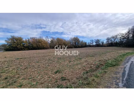 exclusivite - terrain agricole arboré de 7977 m2 toulouges